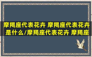 摩羯座代表花卉 摩羯座代表花卉是什么/摩羯座代表花卉 摩羯座代表花卉是什么-我的网站